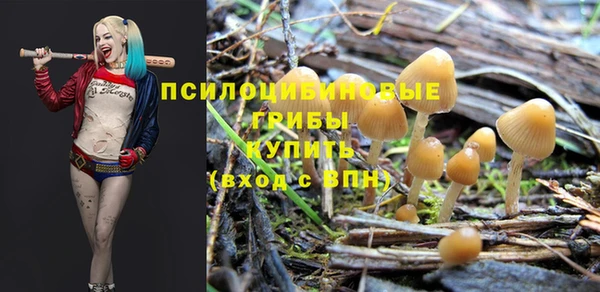 стаф Нижневартовск