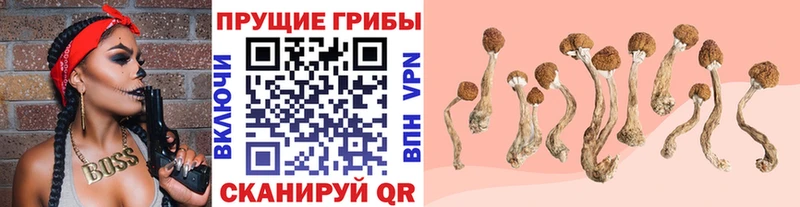 Галлюциногенные грибы Magic Shrooms  Купить  Омутнинск 
